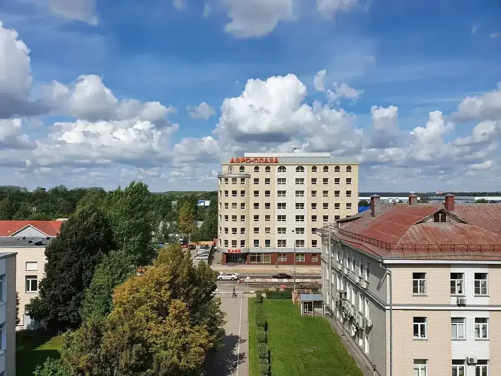 Отель Аэро Плаза, Московская область: фото 2