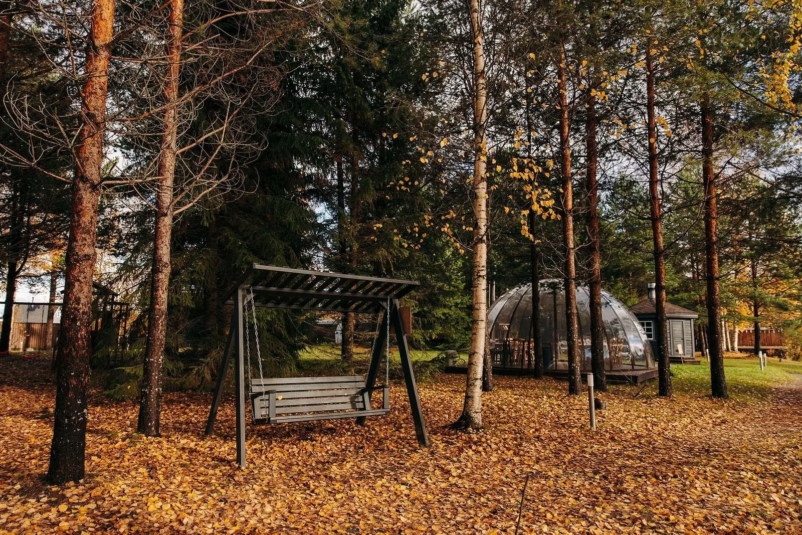 Harland, Республика Карелия: фото 2