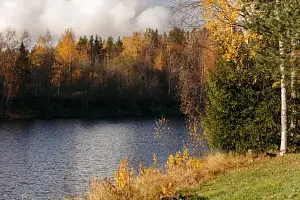 Вид на реку — Эко-отель «Harland», деревня Нижние Виданы
