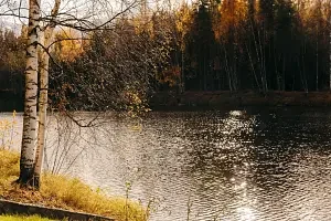 Вид на реку — Эко-отель «Harland», деревня Нижние Виданы