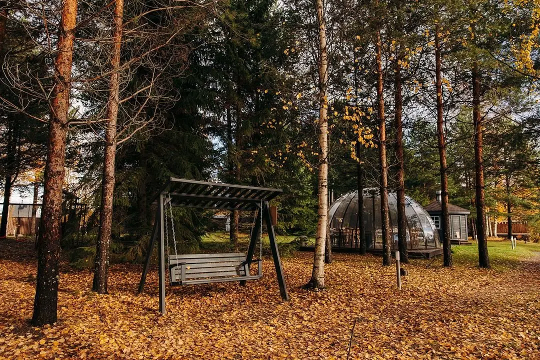 В лесу — Эко-отель «Harland», деревня Нижние Виданы