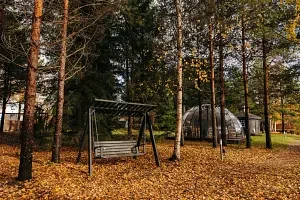 В лесу — Эко-отель «Harland», деревня Нижние Виданы