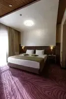 Номер Семейный Мансарда, Отель Forrest Terrace Hotel, Алагирский район