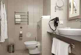 2-мест. комфорт, Санаторий Rosa Springs, Красная поляна