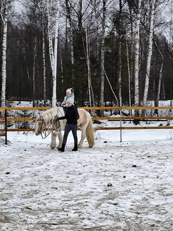 Верховая езда / Конные прогулки — Санаторий «Нартаван», Чебоксары