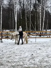 Верховая езда / Конные прогулки — Санаторий «Нартаван», Чебоксары