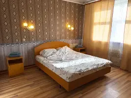 Комфорт 2х местный с 1 кроватью Номера: 26, Гостиница Нур, деревня Вышегор