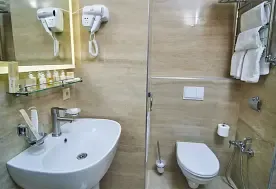 1-мест. (разм. в 2-мест.) 2-комн. люкс с балк., SPA-санаторий Дворец Нарзанов, Кисловодск