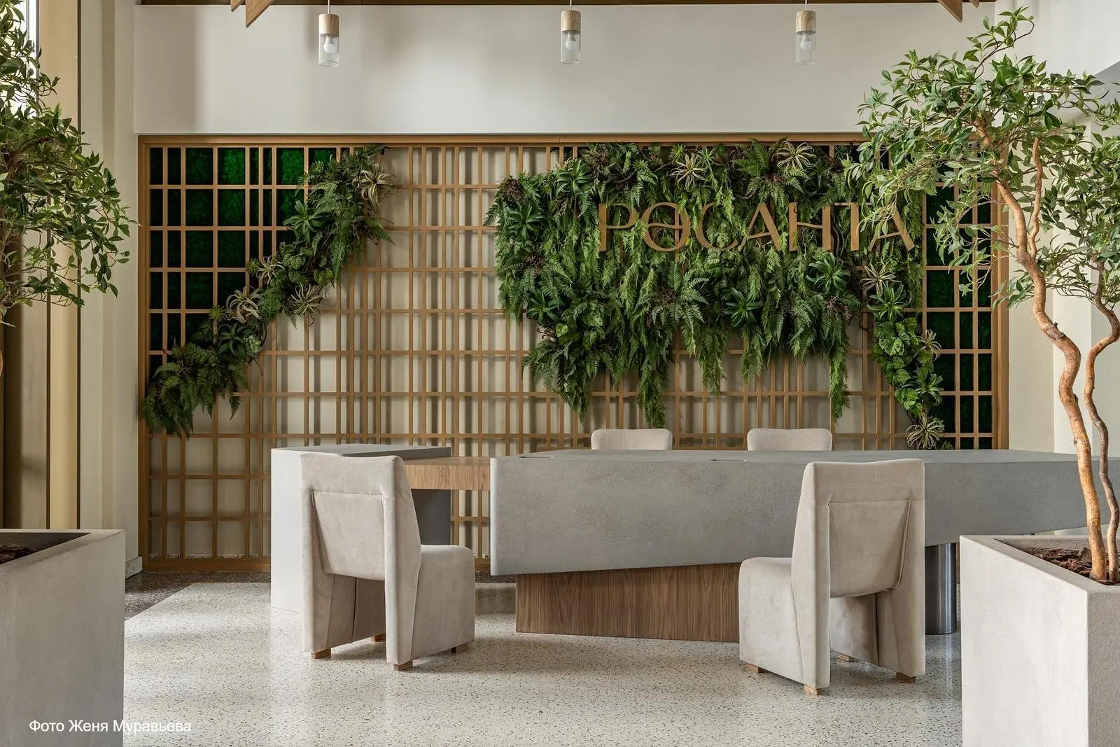 Росанта, Московская область: фото 4