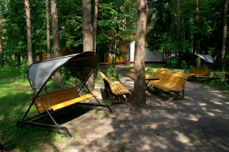 Место для пикника