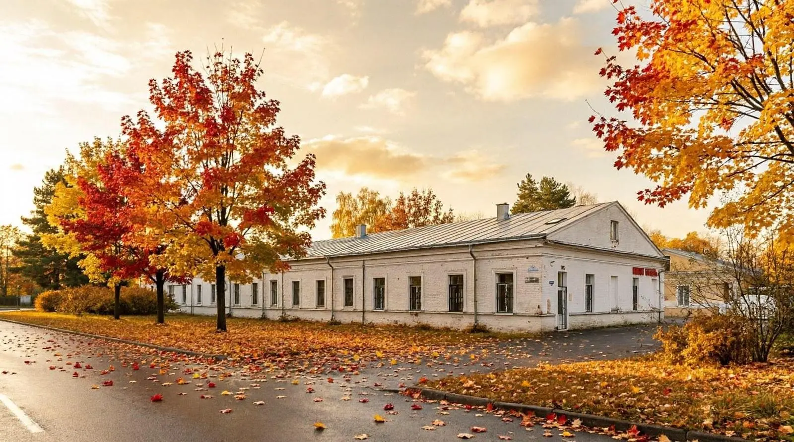 Номера в Петергофе, Ленинградская область: фото 5