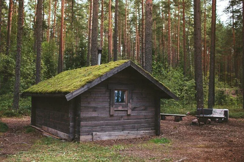 Эко-отель Лес, Выборгский район, Ленинградская область