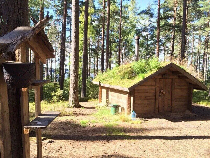 Лес, Ленинградская область: фото 5