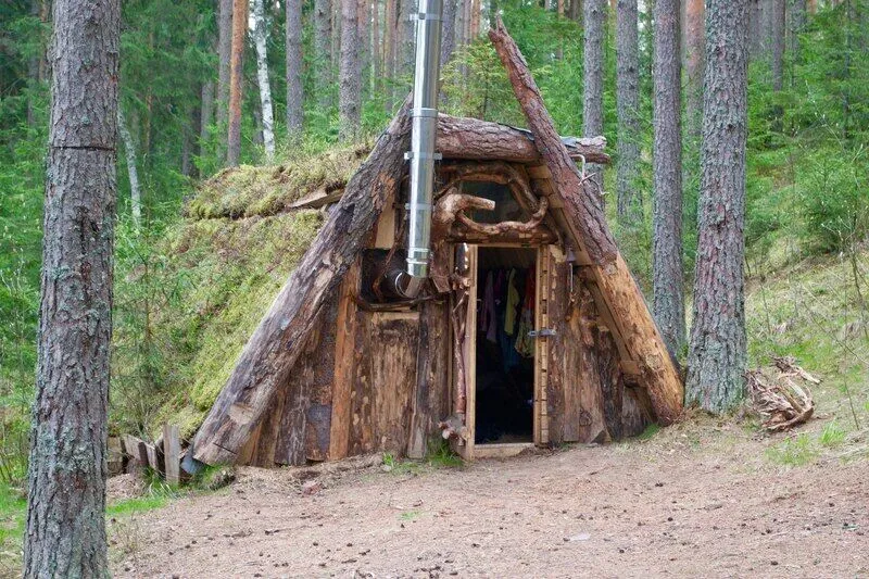 Лес, Ленинградская область: фото 4