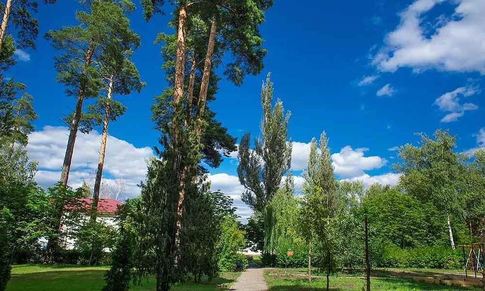 имени В. В. Володарского, Пензенская область: фото 5