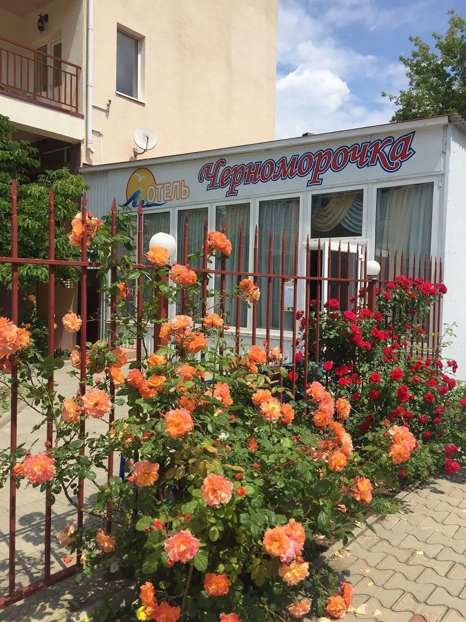 Черноморочка, Краснодарский край: фото 5
