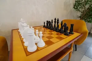 Настольные игры — Санаторий «Золотой Колос», поселок Золотой Колос