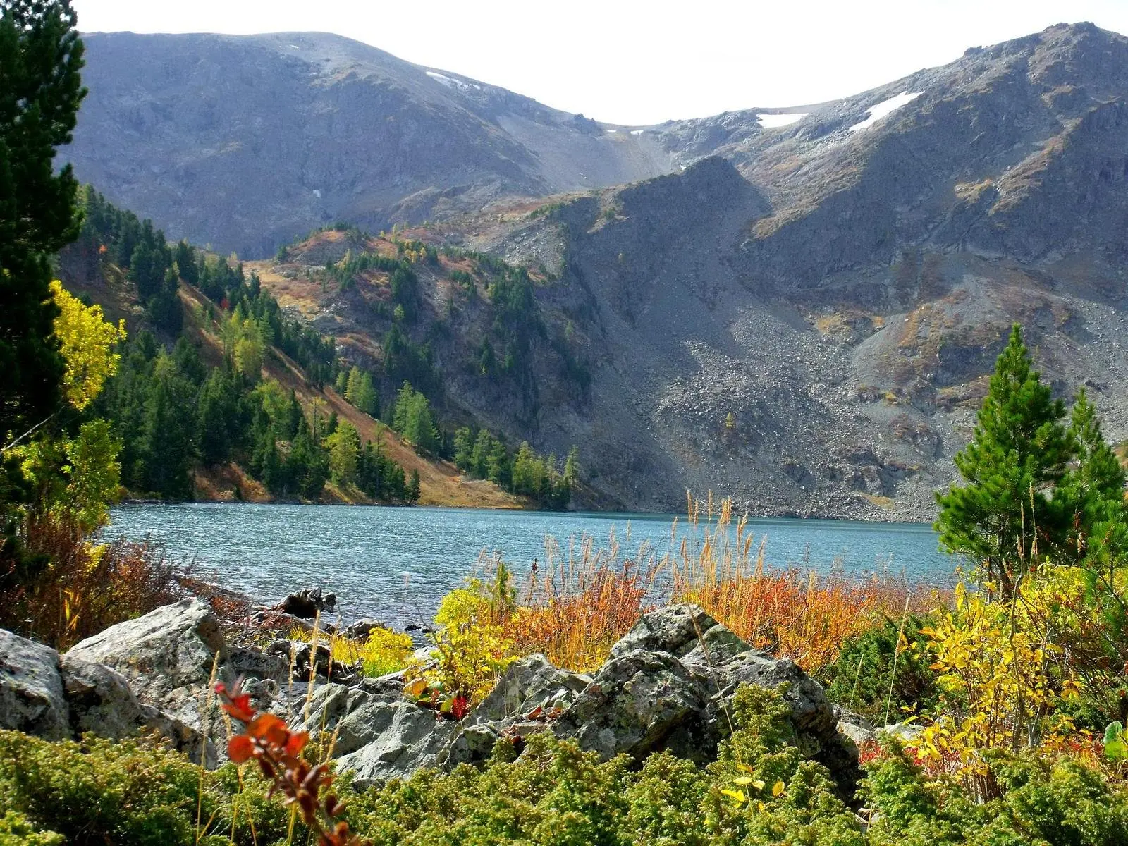 Уймонская долина, Горный Алтай (Республика Алтай): фото 5