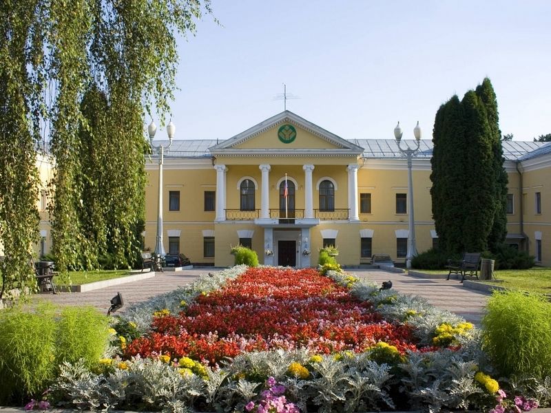 Загородный отель Оздоровительного комплекса "Бор", Домодедово, Московская область