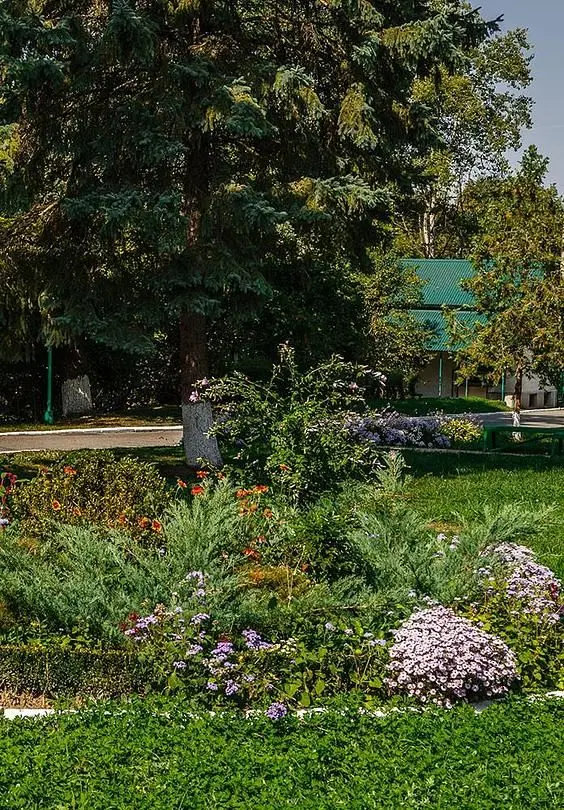 Территория | Долинск, Республика Кабардино-Балкария