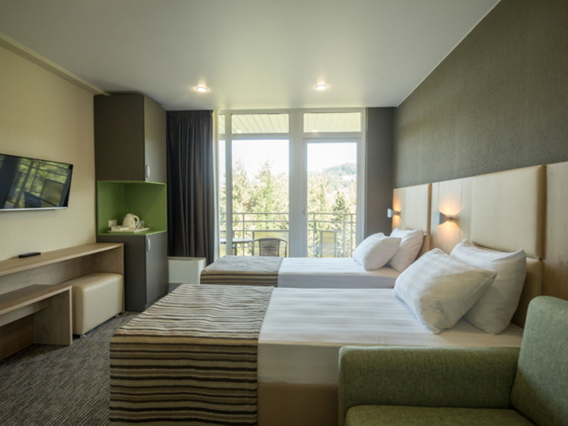 Люкс 4-местный 2-комнатный (VIP корпус 2)