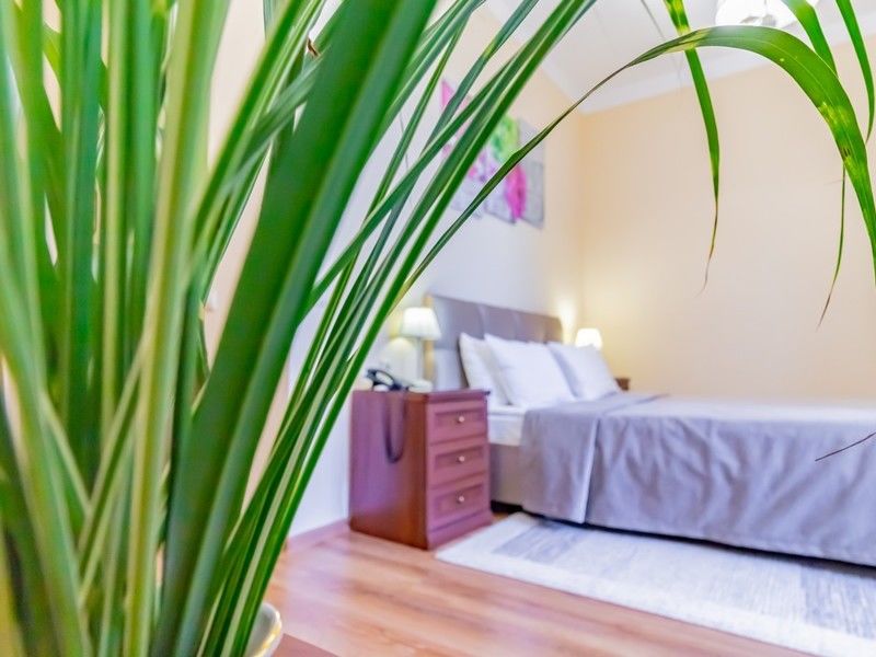 Студия 2-местный