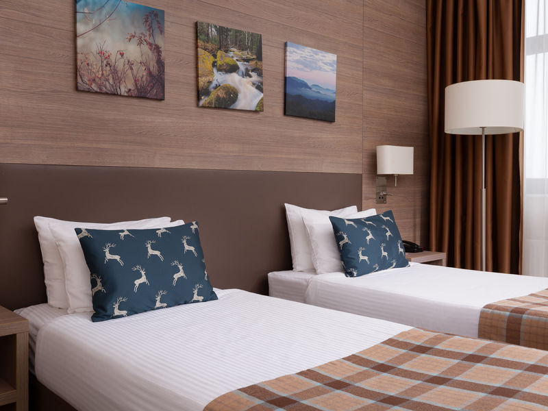 Стандарт 2-местный