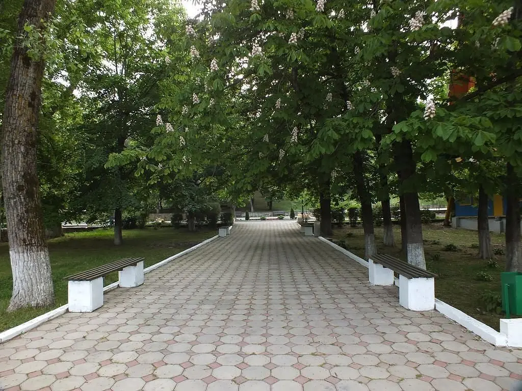 Территория | Радость, Краснодарский край