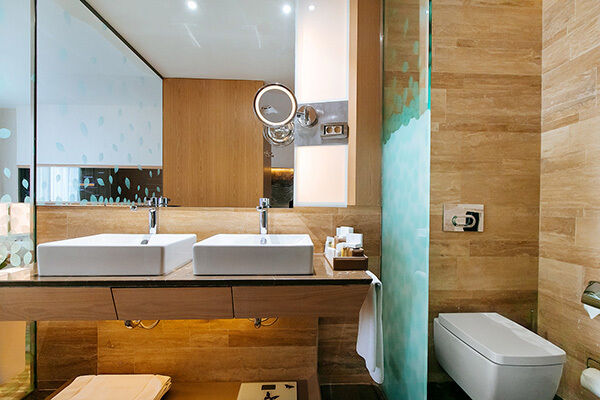 Делюкс 2-местный Twin