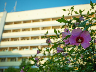 Санаторий Москва-Крым