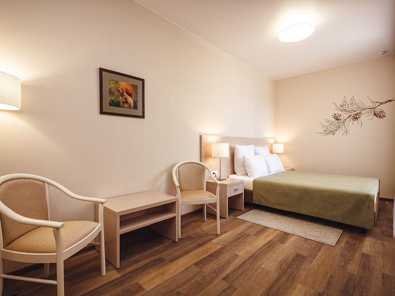 Стандарт 2-местный 1 категории (после ремонта)