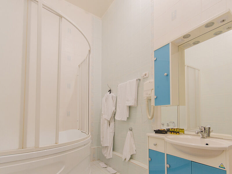 Люкс 2-местный 2-комнатный (317)