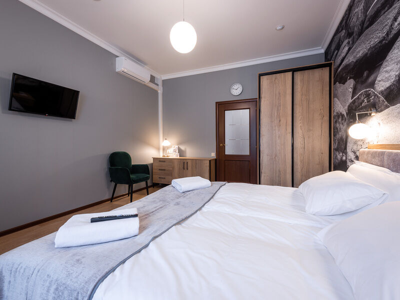 Стандарт ТВИН+