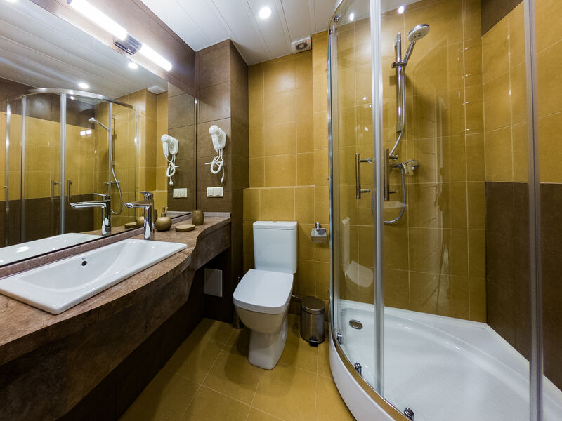 Люкс 2-местный 2-комнатный (вид на территорию)