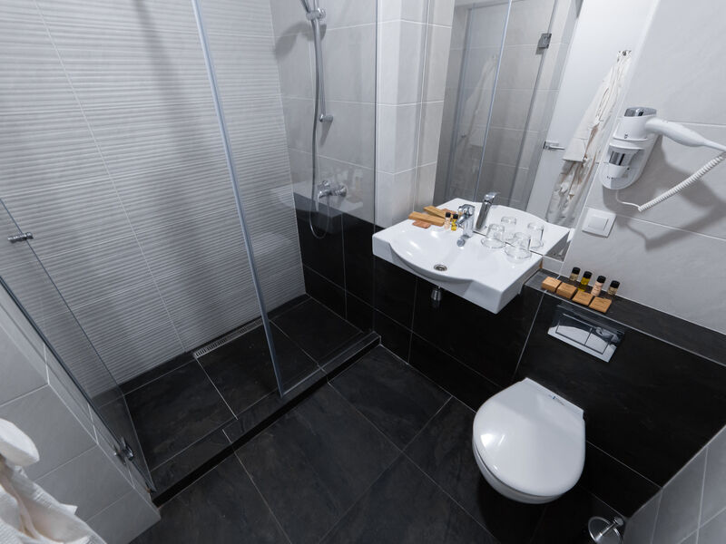 Стандартный Twin 2-местный с/у