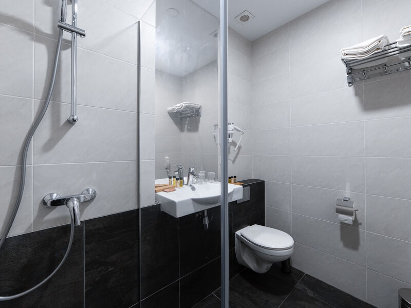 Стандартный Twin 2-местный с/у