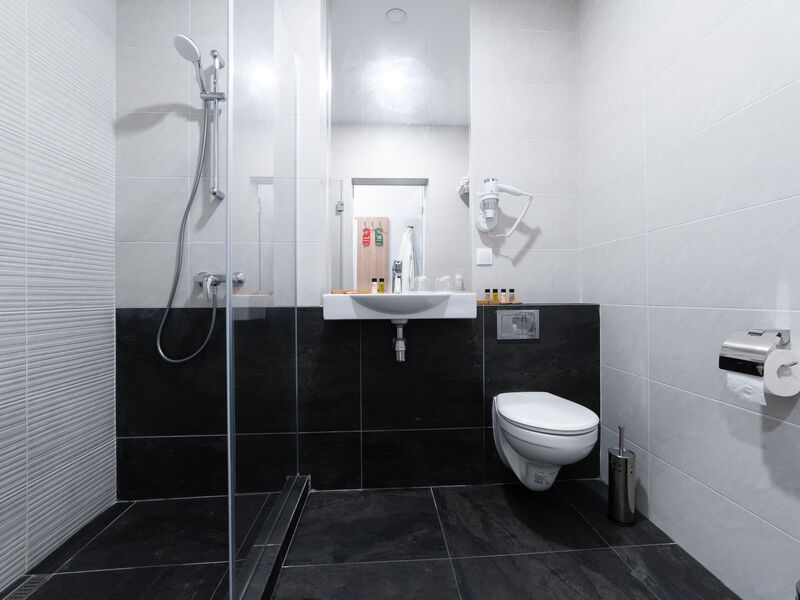 Стандартный Twin 2-местный с/у