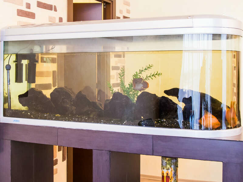 Сьют 2-местный 3-комнатный