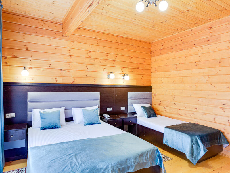 Делюкс 3-местный (деревянный)