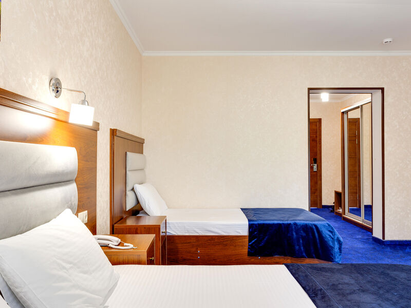 Комфорт 3-местный (корпус №2)