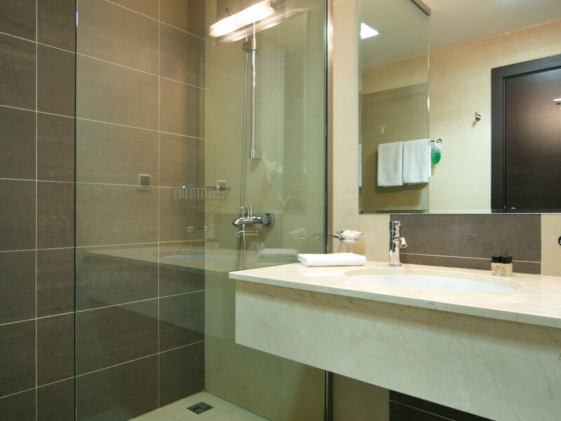 Супериор 2-местн. с балконом (на реку) DBL