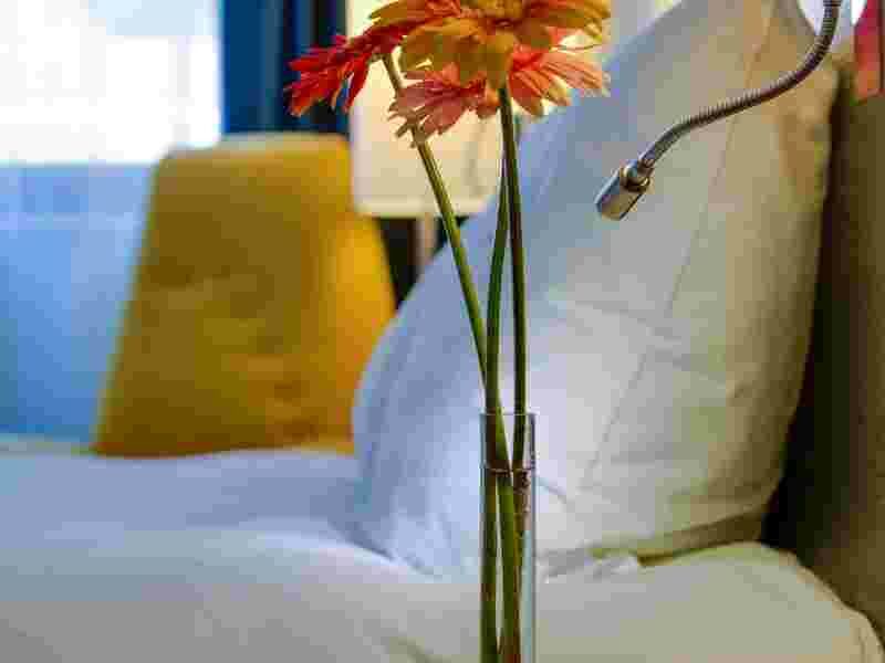 Стандарт 2-местный с видом на реку