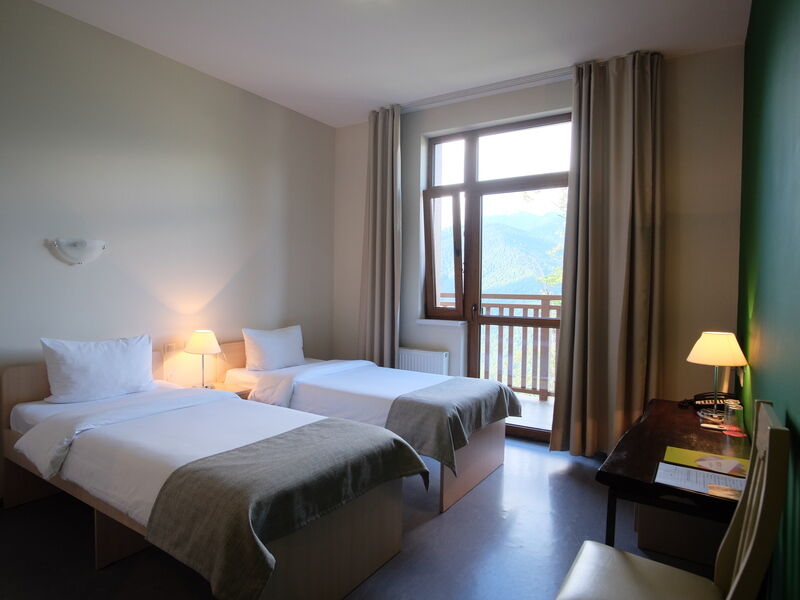 Стандарт 2-местный с балконом TWIN