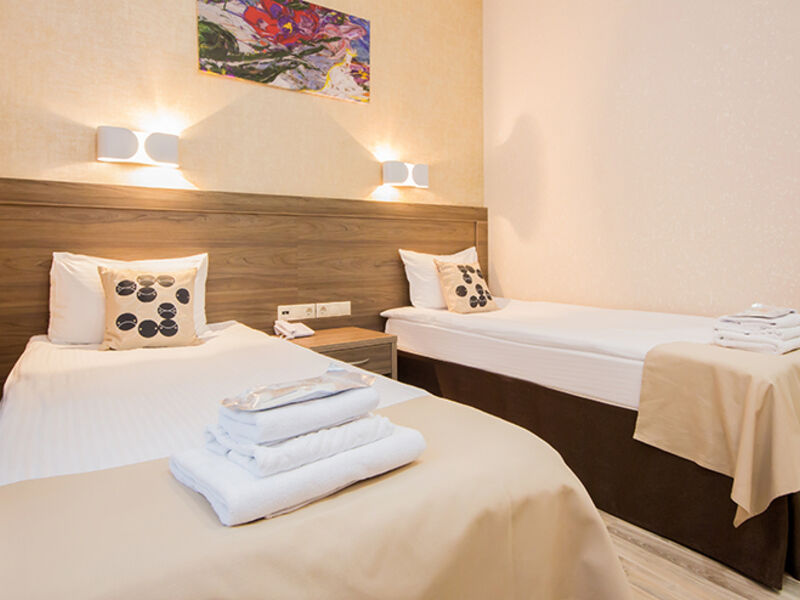 Эконом 2-местный