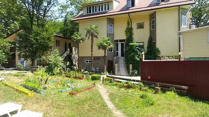 Гостиница Платан, Сочи, Краснодарский край