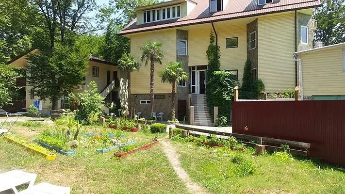 Гостиница Платан, Сочи, Краснодарский край