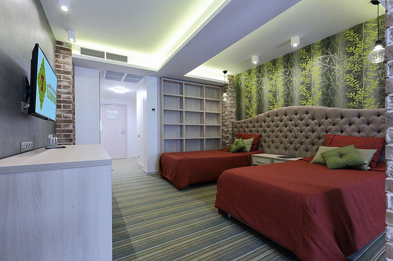 Стандарт TWIN