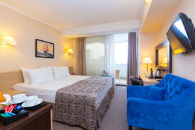 Business 2-м Стандарт 1 к, Отель Sea Galaxy Congress & Spa Hotel, Сочи