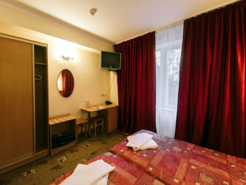 Стандарт 2-местный вид на горы