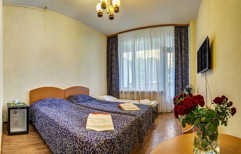 Эконом Стандарт 2-местный